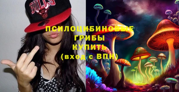mdma Ельня