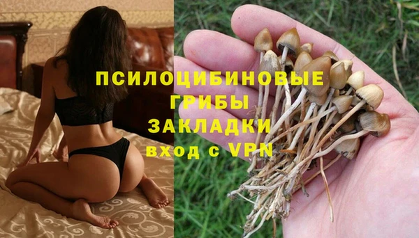 mdma Ельня